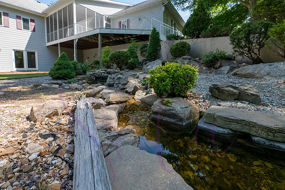 Betsy Shady Hills 2025 0032