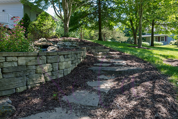 Betsy Shady Hills 2025 0012
