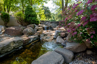 Betsy Shady Hills 2025 0020