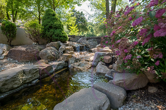 Betsy Shady Hills 2025 0020