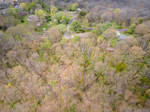 Betsy Old Village Drive 0137