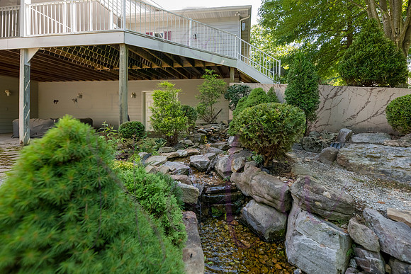 Betsy Shady Hills 2025 0033