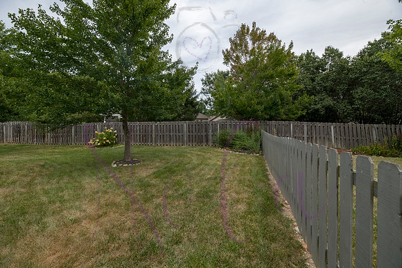 Don Emery Woods Edge 0099