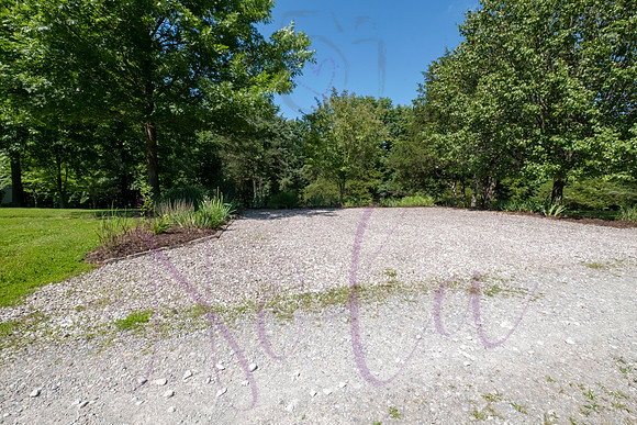 Betsy Shady Hills 2025 0081