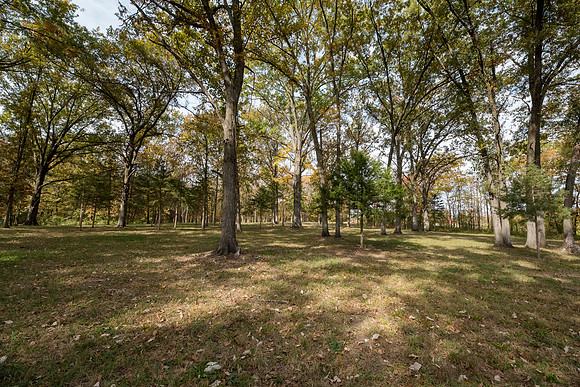 Betsy Locust Grove 0142