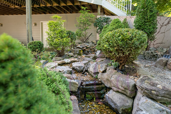 Betsy Shady Hills 2025 0034