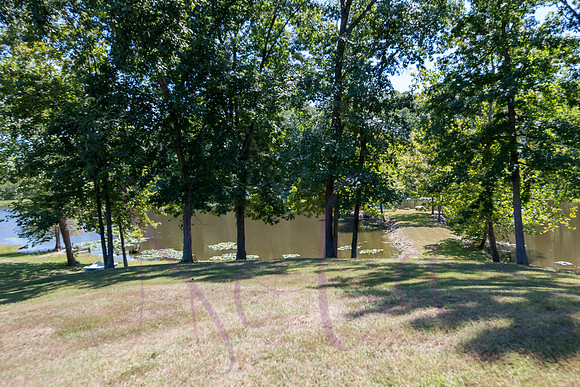 Betsy Bruce Lane 0168