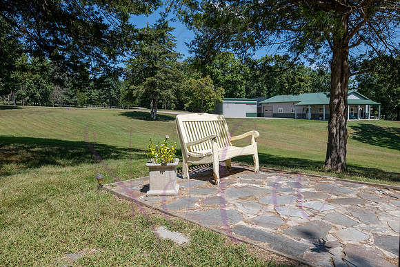 Betsy Bruce Lane 0165