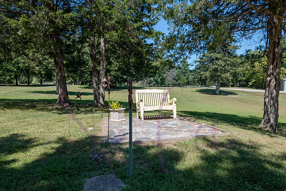 Betsy Bruce Lane 0166