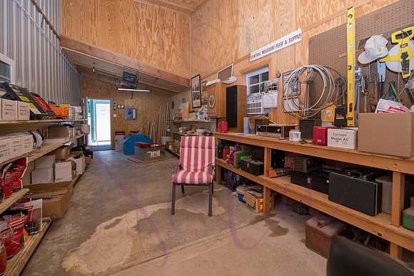 Betsy Bruce Lane 0229