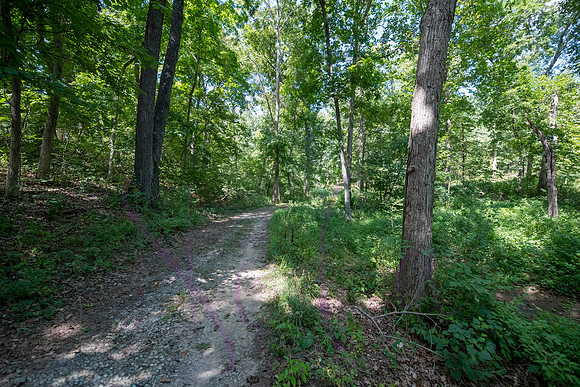 Betsy Bruce Lane 0304