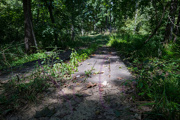 Betsy Bruce Lane 0306