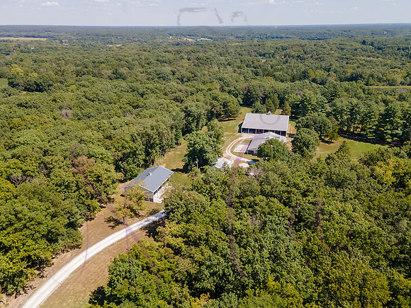 Betsy Bruce Lane 0279