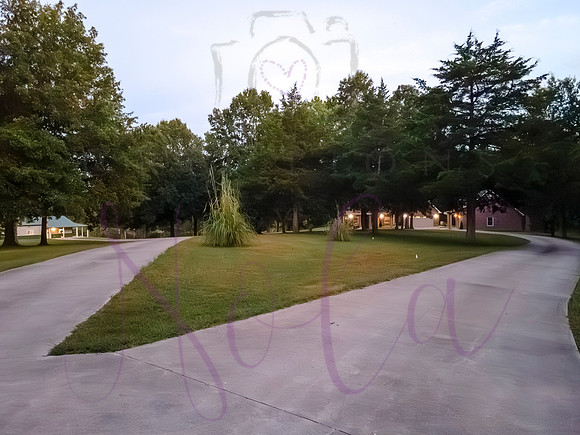 Betsy Bruce Lane 0513
