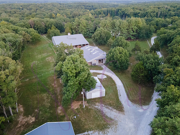 Betsy Bruce Lane 0493