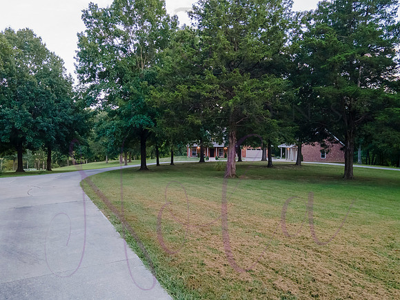 Betsy Bruce Lane 0471