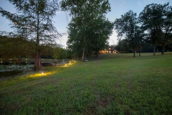 Betsy Bruce Lane 0540