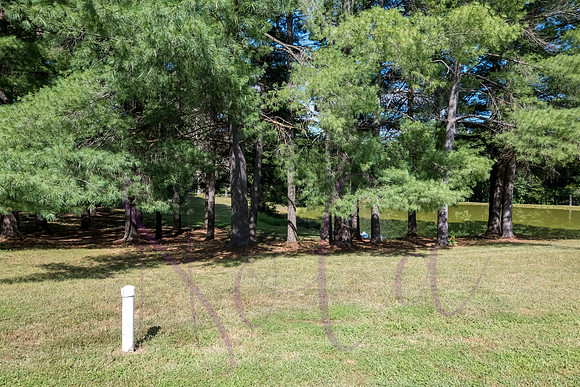 Betsy Bruce Lane 0457