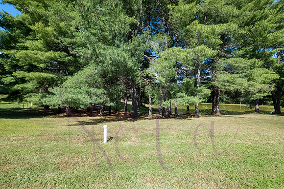 Betsy Bruce Lane 0456