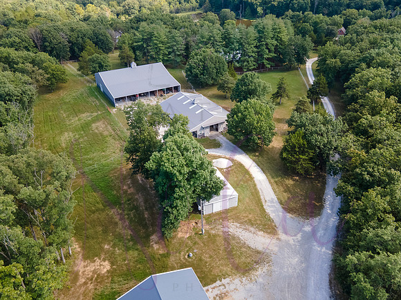 Betsy Bruce Lane 0451