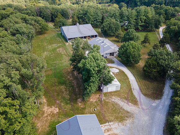 Betsy Bruce Lane 0452