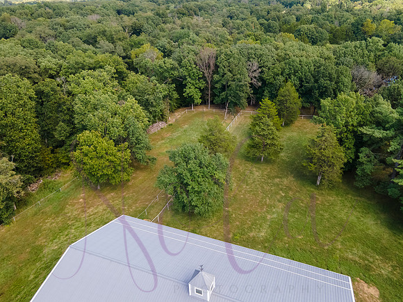 Betsy Bruce Lane 0449