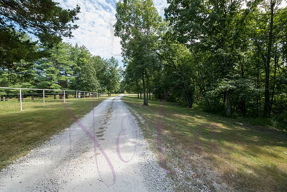 Betsy Bruce Lane 0424