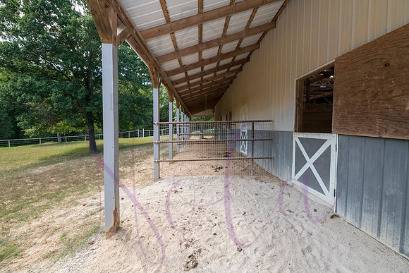 Betsy Bruce Lane 0422