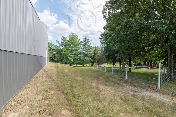 Betsy Bruce Lane 0421