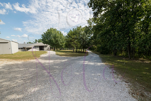 Betsy Bruce Lane 0423