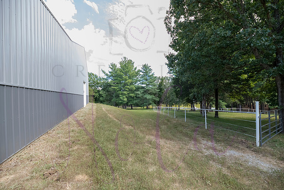 Betsy Bruce Lane 0420