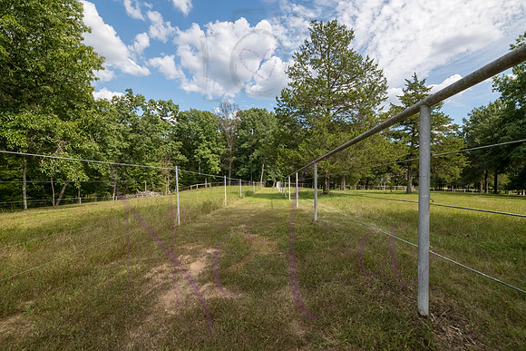 Betsy Bruce Lane 0401