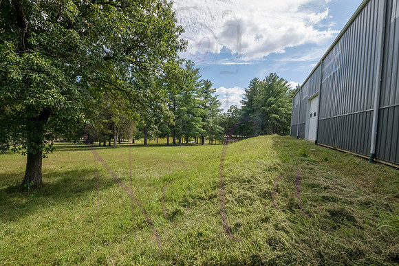Betsy Bruce Lane 0399