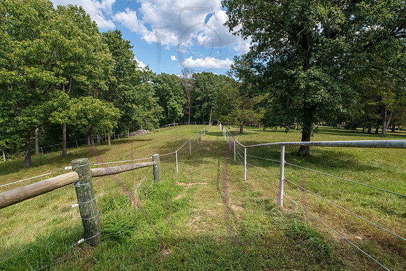 Betsy Bruce Lane 0398