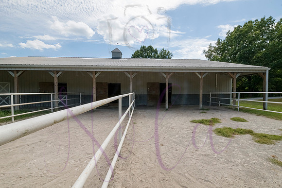 Betsy Bruce Lane 0395