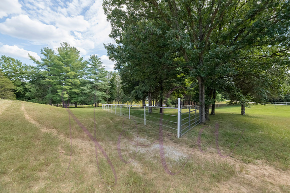 Betsy Bruce Lane 0391