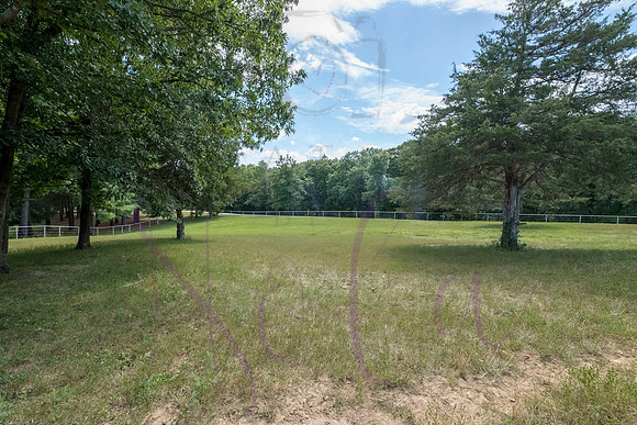 Betsy Bruce Lane 0392