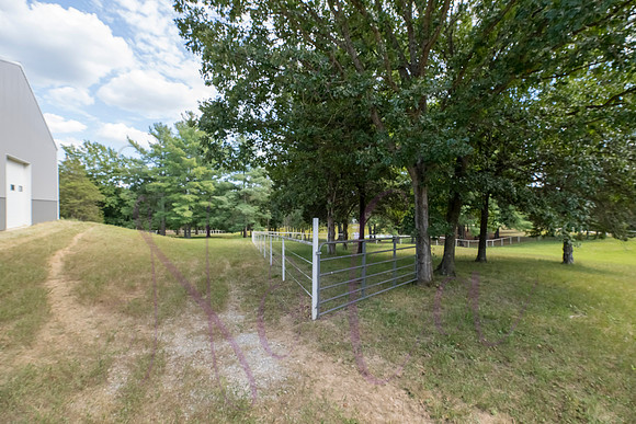 Betsy Bruce Lane 0390