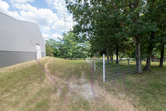 Betsy Bruce Lane 0389