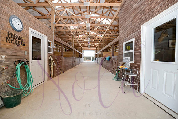 Betsy Bruce Lane 0367