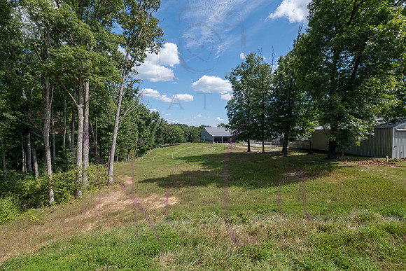 Betsy Bruce Lane 0355