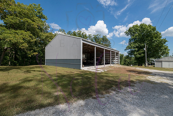 Betsy Bruce Lane 0352