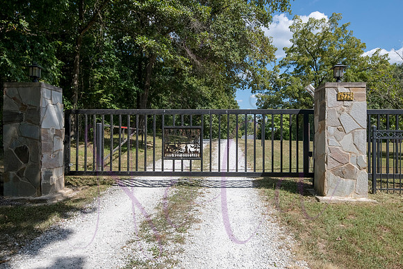 Betsy Bruce Lane 0350