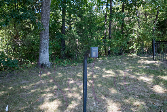 Betsy Bruce Lane 0349