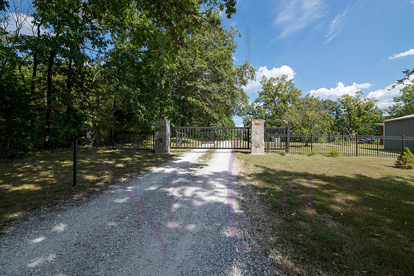 Betsy Bruce Lane 0348