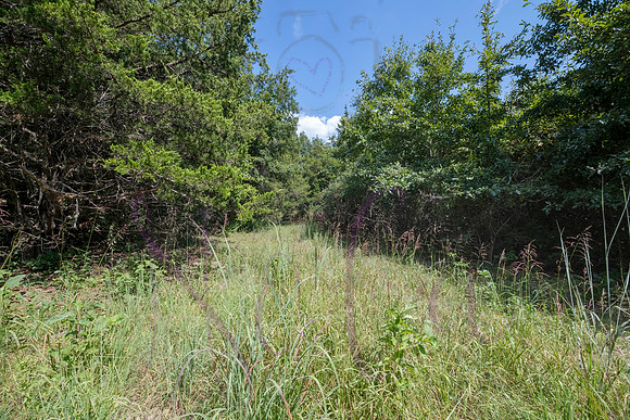 Betsy Bruce Lane 0346