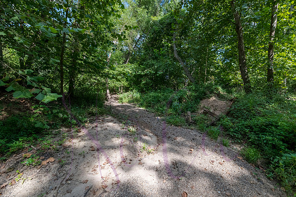 Betsy Bruce Lane 0345