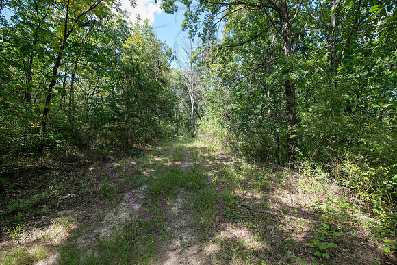 Betsy Bruce Lane 0347