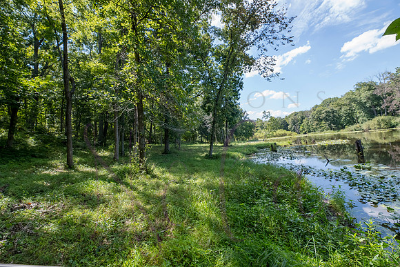 Betsy Bruce Lane 0343