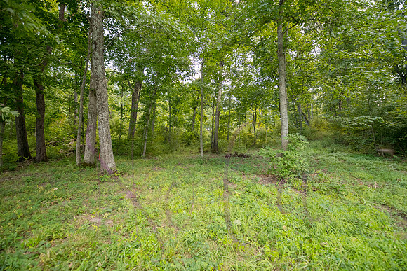 Betsy Bruce Lane 0336